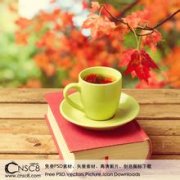玻利维亚Takesi雪脉庄园为何被称为冠军风味？高海拔咖啡种植特色解析