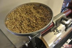 哥伦比亚希望庄园咖啡豆好喝吗？产区品种与市场价格一次看懂