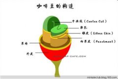 哥斯达黎加圣罗曼咖啡口感如何？特硬豆风味与海拔种植解析