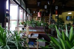 波多黎各咖啡为什么被称为教廷御用豆？尤科特选风味与烘焙研磨一次讲清