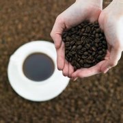 多米尼加咖啡和牙买加蓝山有什么区别？圣多明各风味与处理法全解析