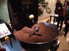 印尼西爪哇咖啡豆是阿拉比卡还是罗布斯塔？爪哇咖啡历史与口感全解析