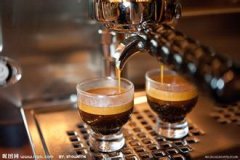 哥斯达黎加火凤凰庄园咖啡豆怎么选？品种种植与市场价格一次说清