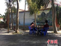 中国咖啡“活化石”等待百年的“邂逅”