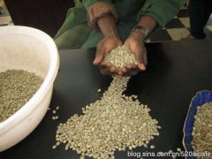 布隆迪咖啡酸度为什么这么高？山国精品豆起源故事与风味特点