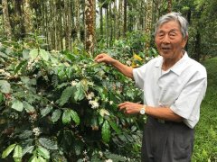 89岁老农刘佳馆 自栽自烘成咖啡达人