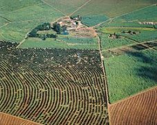 哥伦比亚拉兹默斯庄园咖啡豆怎么样？海拔气候品种与风味口感特点简介
