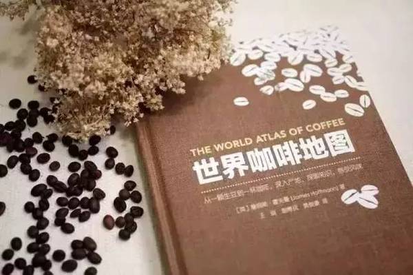 他靠喝咖啡,把自己变成世界冠军,还出了一本世界级的咖啡圣经