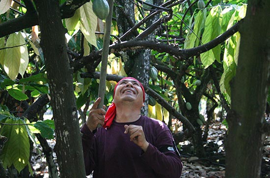 舌尖上的夏威夷 盘点夏威夷八大美食风情