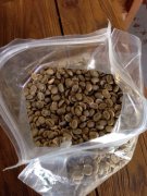 牙买加蓝山正宗原装进口NO.1号精品咖啡豆种植情况地理位置气候海
