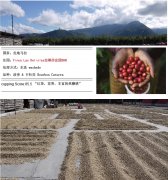 危地马拉拉蒂莎庄园水洗精品咖啡豆研磨度烘焙程度处理方法简介