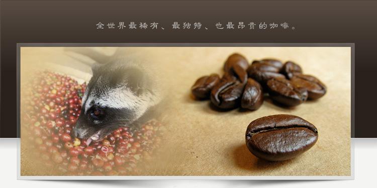 猫屎咖啡豆怎么研磨,怎么冲泡猫屎咖啡