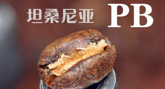 坦桑尼亚乞力马扎罗咖啡,坦桑尼亚咖啡产地