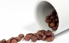 尼加拉瓜天意庄园咖啡豆风味如何？杯测89.6分巧克力柑橘调性解析