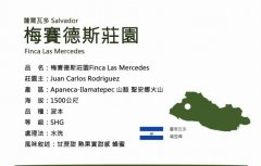 梅赛德斯庄园咖啡豆风味如何？萨尔瓦多波旁品种与圣安娜产区全解析