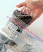 尼加拉瓜天意庄园咖啡什么风味？红卡杜拉日晒处理与COE亚军庄园全解析