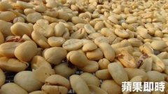 肯尼亚咖啡豆为什么分级这么细？AA、AB、PB与涅里产区一次讲清