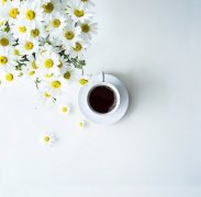 柠檬树庄园爪哇尼卡JavaNica是什么品种？为什么它长相像瑰夏却叫尼加拉瓜爪哇长豆