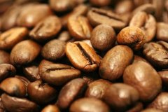 厄瓜多尔哈森达庄园咖啡豆风味如何？加拉帕戈斯产区与冲煮参数全解析