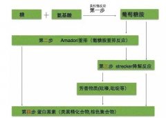咖啡烘焙中的褐变反应：焦糖化与美拉德反应有什么区别？