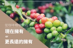 从咖啡种植谈起 ─ 现在拥有,或者更长远的拥有
