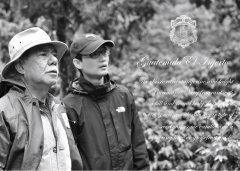 危地马拉茵赫特庄园帕卡玛拉潘朵拉是什么风味？竞标批次咖啡豆值得买吗