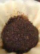 咖啡豆烘焙深浅有多重要？同一支瑰夏两种烘焙为何一杯涩到卡喉、一杯圆润顺口