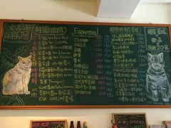 台北忠孝东路「咖啡实验室」值得去吗？猫店长阿万与大宝的巷弄咖啡馆