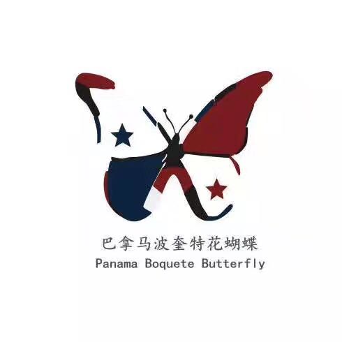 手冲参考,如何冲好一支花蝴蝶?适合器具手冲滴滤虹吸壶法压壶