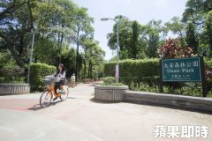 北市借镜高雄经验　大安森林公园内将建咖啡馆飘咖啡香
