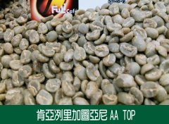 肯尼亚 涅里 加图亚尼AA TOP 水洗咖啡风味口感香气描述
