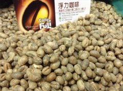 坦桑尼亚 乞力马扎罗北部PB圆豆咖啡风味口感香气描述
