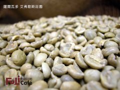 萨尔瓦多 艾弗勒斯 SHG水洗红波旁咖啡豆风味口感香气描述