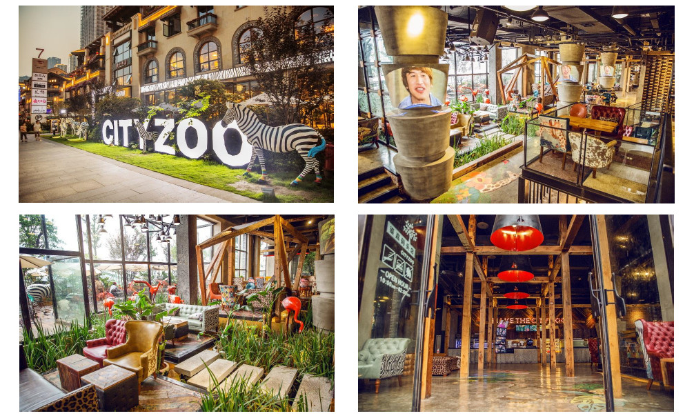被中资全资收购后,「Zoo Coffee」能否凭借IP势能实现华丽转身?