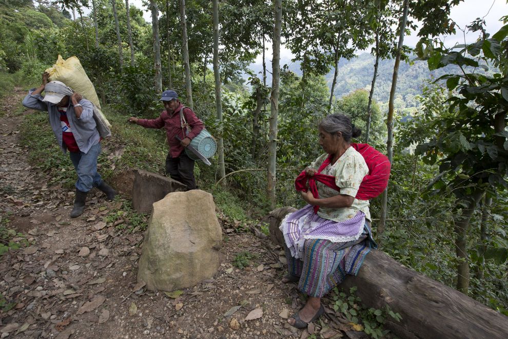 瓜地馬拉的咖啡農Luis Manuel Antonio(最左)的小農場遭到咖啡鏽肆虐。咖啡歉收已經為他和他的妻子帶來了壓力與焦慮。其他地區則有收入減少導致兒童營養不良個案增加的情形。 PHOTOGRAPH BY JANET JARMAN