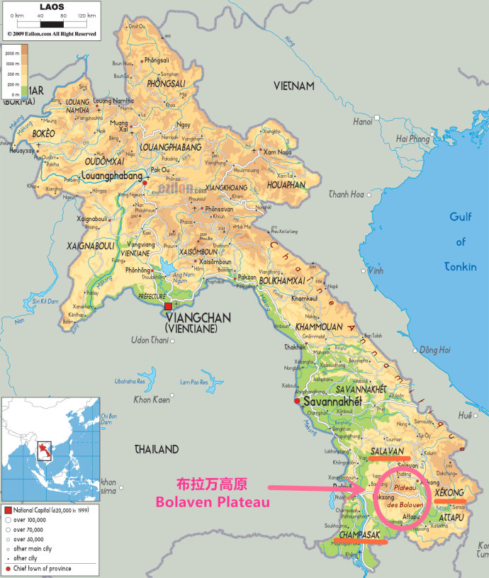 老挝咖啡简介：Lao&nbsp;<wbr>Coffee