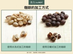 水洗和日晒咖啡豆风味差在哪？同庄园豆子为何喝起来完全不同