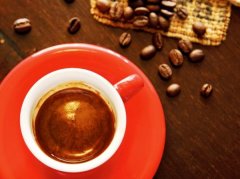 Rufous Coffee 的深褐色咖啡瘾角落：为什么「坚持质量」才是好咖啡的最高原则？