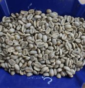 德国PROBAT咖啡烘焙机怎么用？3-5kg产量与12-18分钟烘焙全解析
