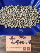 【烘焙经验】日晒耶加雪菲红樱桃咖啡豆的烘焙机杨家烘焙曲线