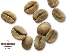 半日晒和半水洗有什么区别？巴西半日晒与中南美半水洗的处理法对比