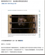 猫屎咖啡都是虐待麝香猫吗？有人说人道饲养的猫屎咖啡豆更香更干净