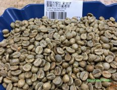 哥斯达黎加叶尔巴夙庄园白蜜处理薇拉沙契咖啡风味如何？微型处理场与Villa Sarchi品种解析