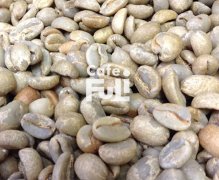 埃塞俄比亚孔加处理厂日晒咖啡豆有什么风味？非洲之王到底强在哪？