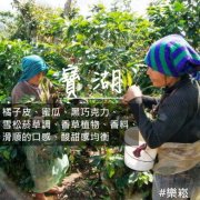 危地马拉薇薇特南果宝湖庄园咖啡风味如何？水洗SHB口感与产地解析