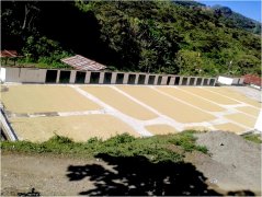 危地马拉珍珠佩菈庄园咖啡豆风味如何？基切省水洗卡杜拉庄园历史与评测