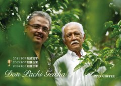 巴拿马瑰夏之父唐帕奇庄园：它如何把艺伎从防风林推上世界第一？