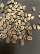 90+瑰夏Gesha系列拍卖批次怎么选？227、236、238风味区别一次讲清