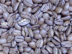 尼加拉瓜布耶诺斯艾雷斯庄园巨型象豆凭什么拿下COE杯测第一名？