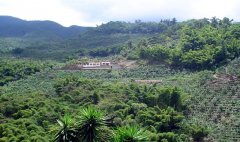 巴拿马波魁特咖啡产区怎么样？千年雨林Kotowa与火山Janson瑰夏庄园实地探访